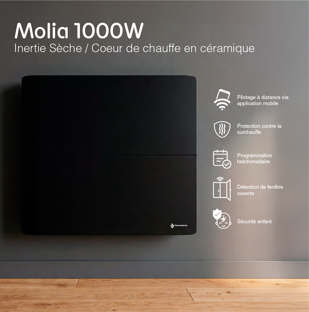 Radiador eléctrico conectado 1000W sistema de calefacción doble horizontal Negro Molia