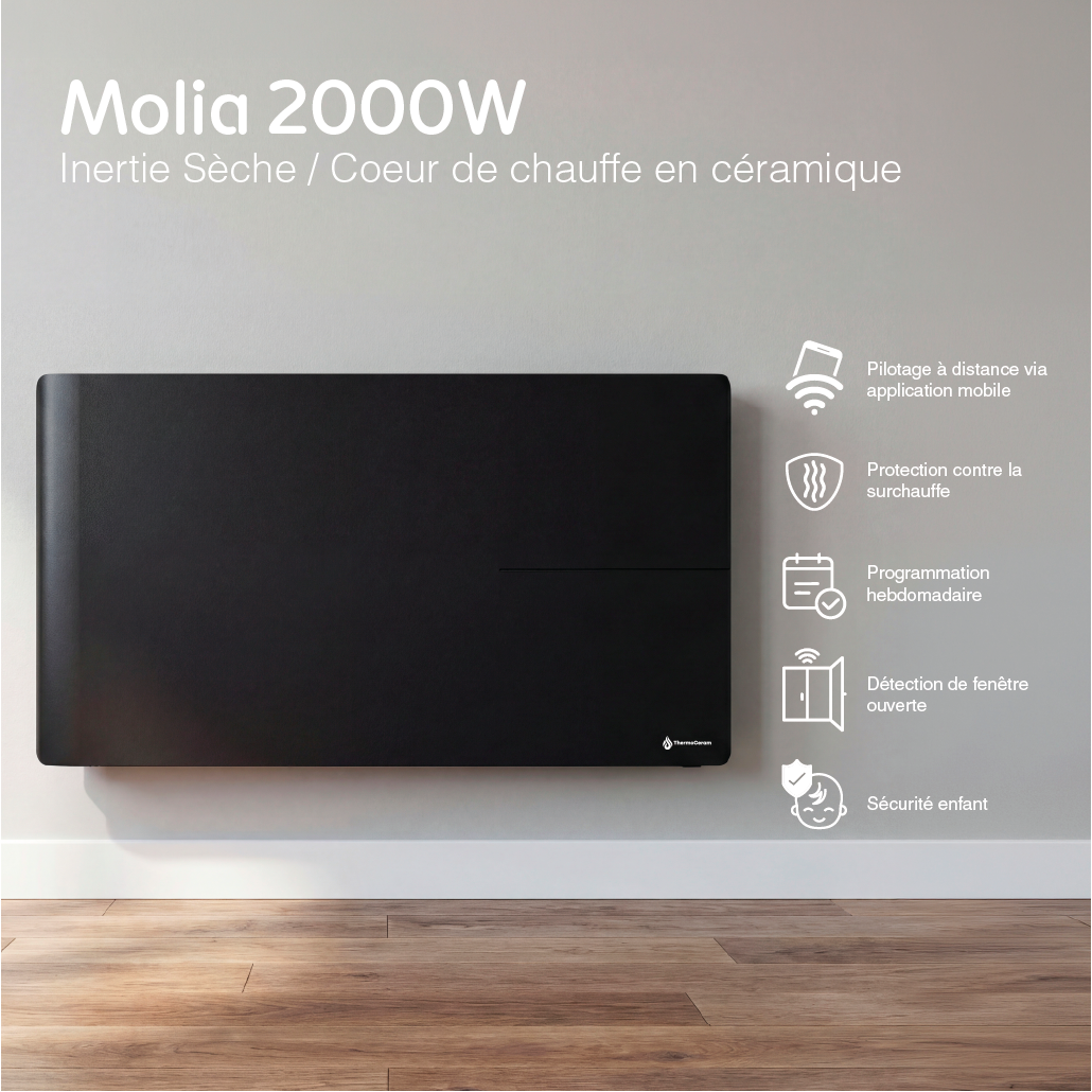 Radiador eléctrico conectado 2000W sistema de calefacción doble horizontal Negro Molia