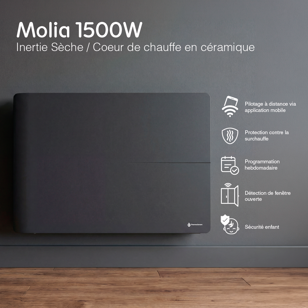 Radiador eléctrico conectado 1500W sistema de calefacción doble horizontal Negro Molia